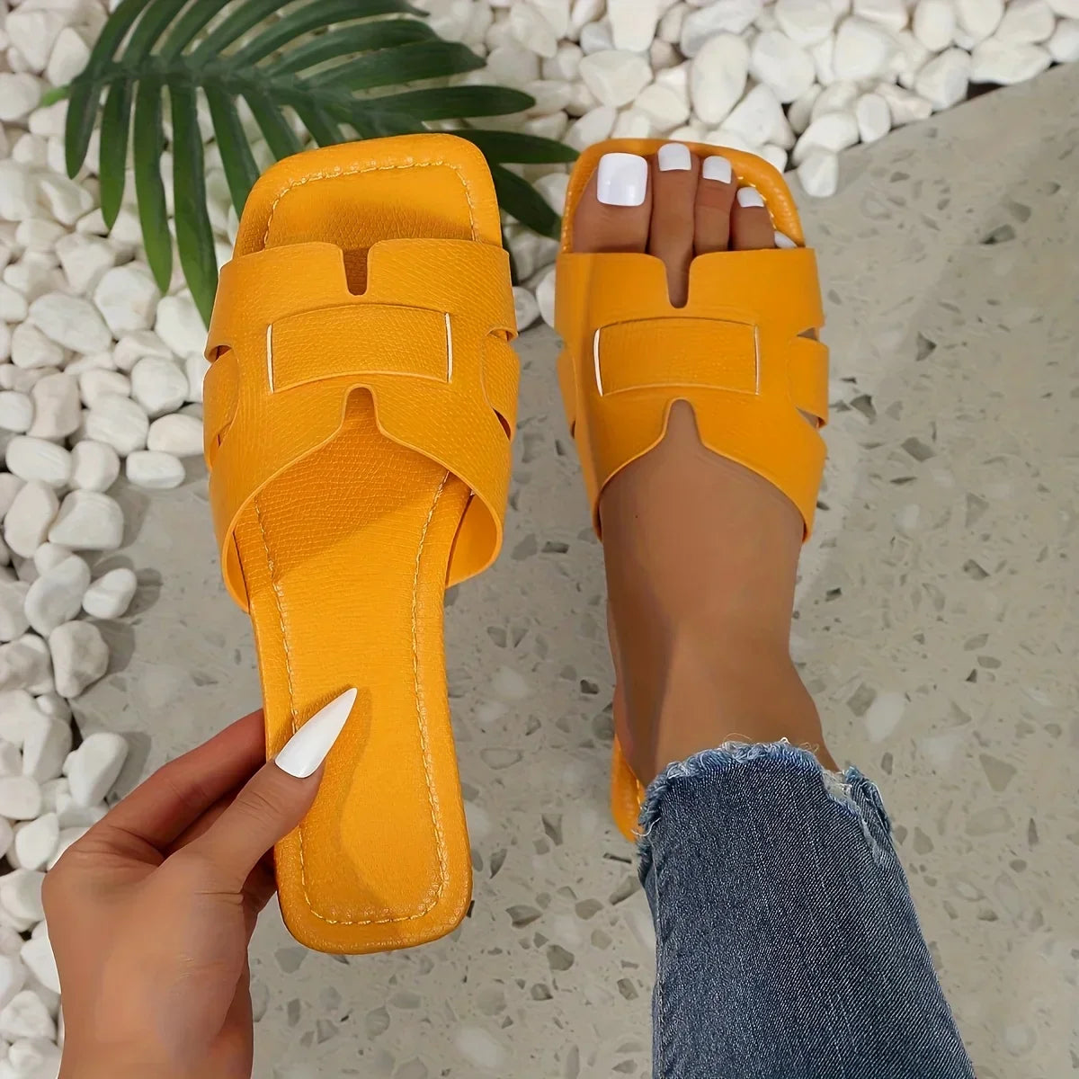 Valencia Slides