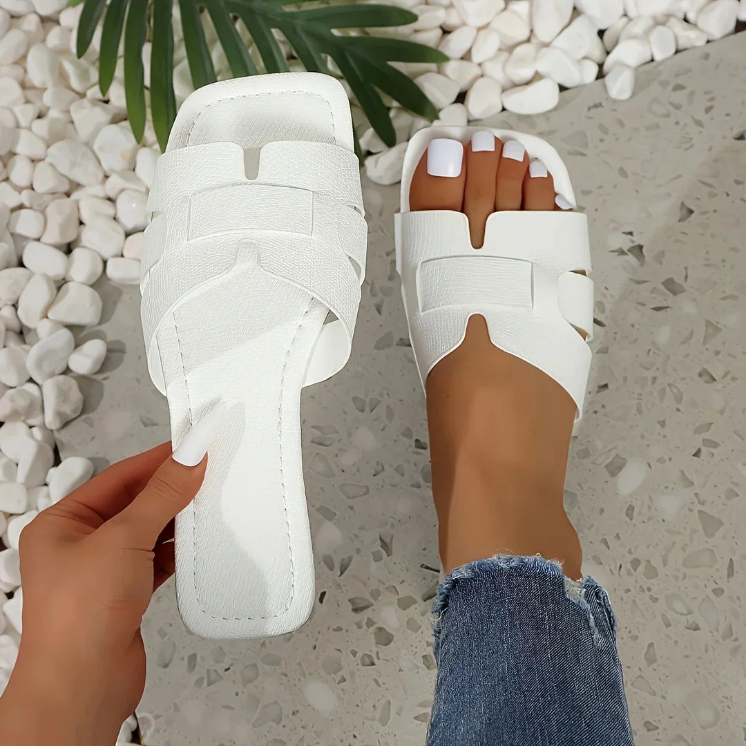 Valencia Slides